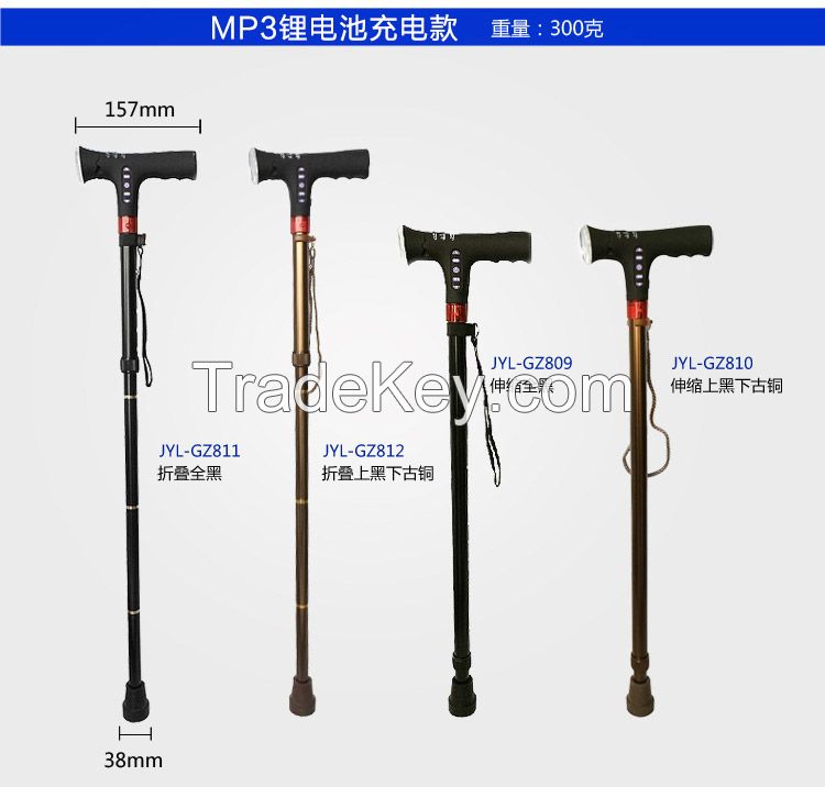 MP3 music electronic cane