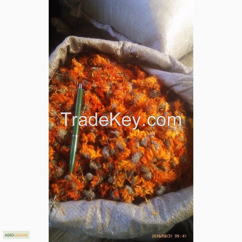Calendula (marigold) (Calendula officinalis)Dried Flower 
