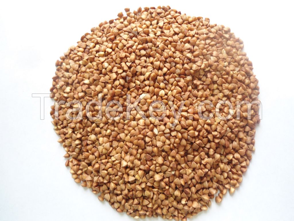 Buckwheat grain (instant)