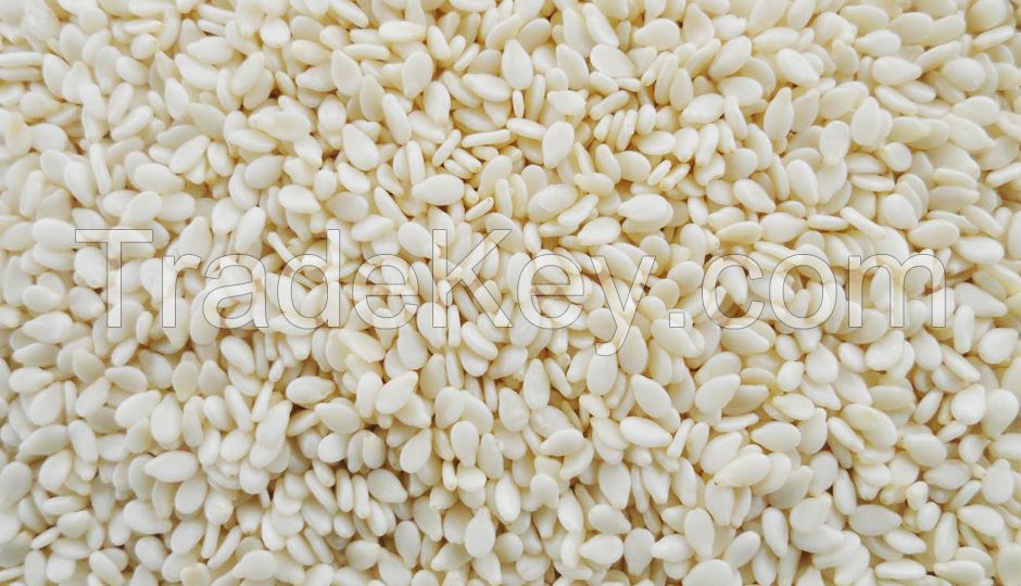 SESAME SEEDS