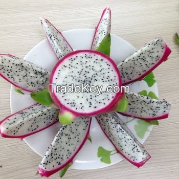 Dragon Fruit.