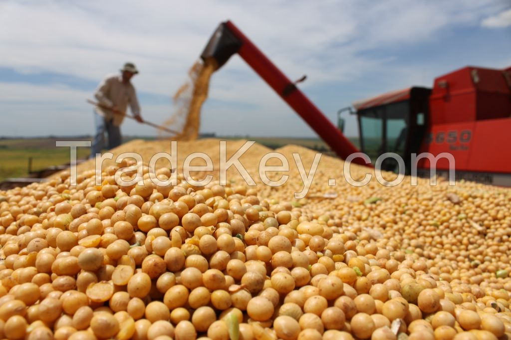 Soybeans