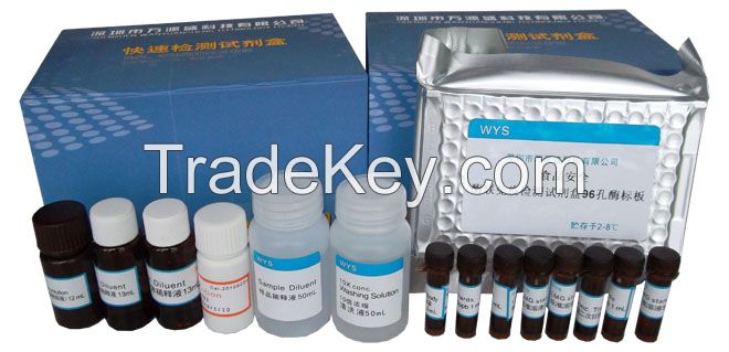 Oxytetracycline ELISA Diagnostic Kit