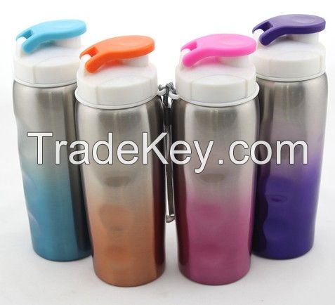 Stainless Steel Sport Bottle