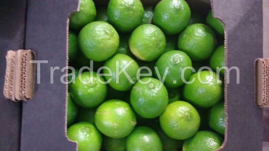 Fresh limes