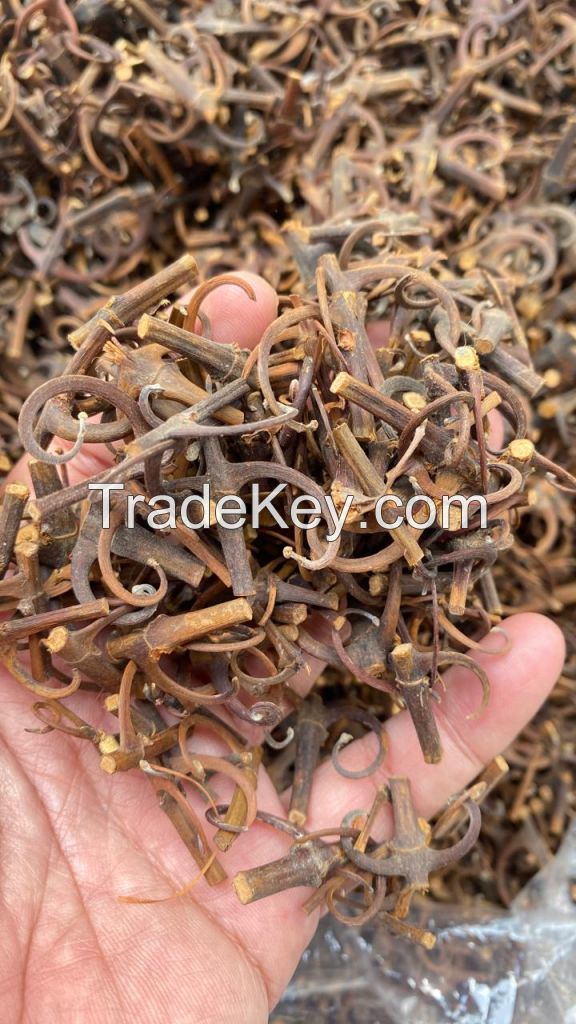 Uncaria Tomentosa ( Cat Claw, Kait-kait )