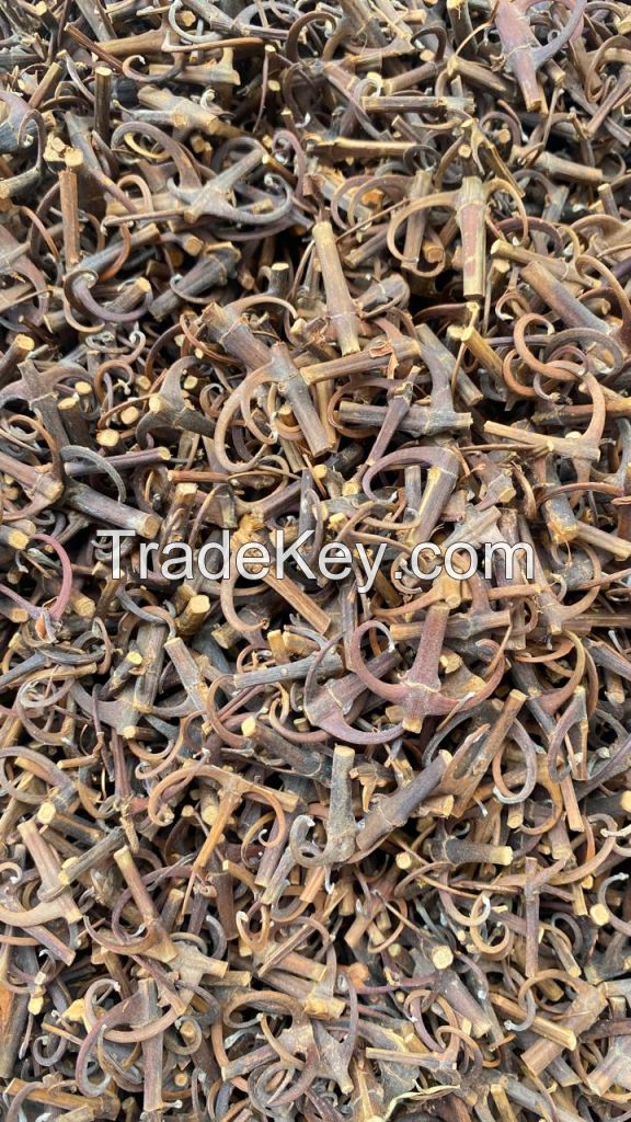 Uncaria Tomentosa ( Cat Claw, Kait-kait )