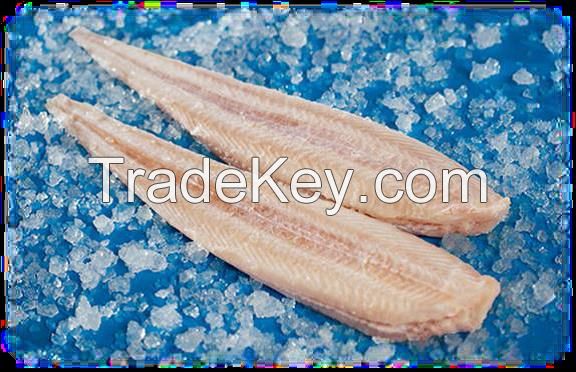 Horse Mackerel, Hake, Cod, Snoek, Angelfish, Ribbonfish, East Coast Sole, Pilchards, Kingklip, Pink Prawns, Monk fish, Oysters & Mussels.