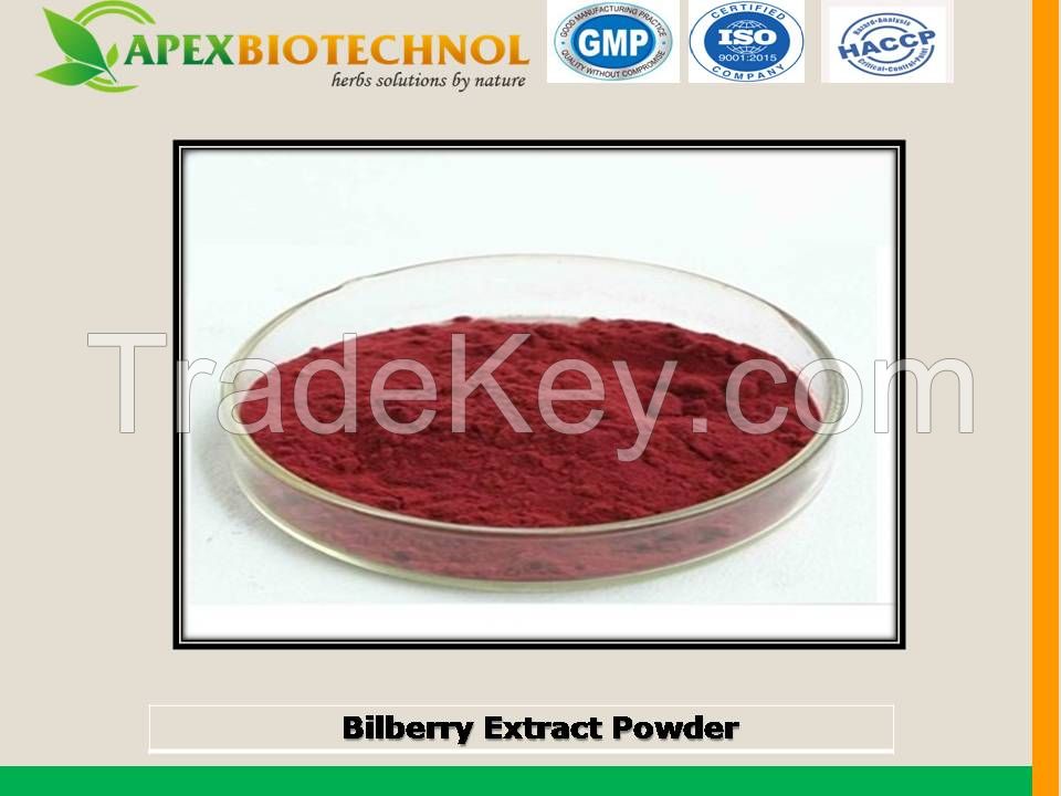 Bilberry extract