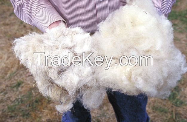 RAW WOOL