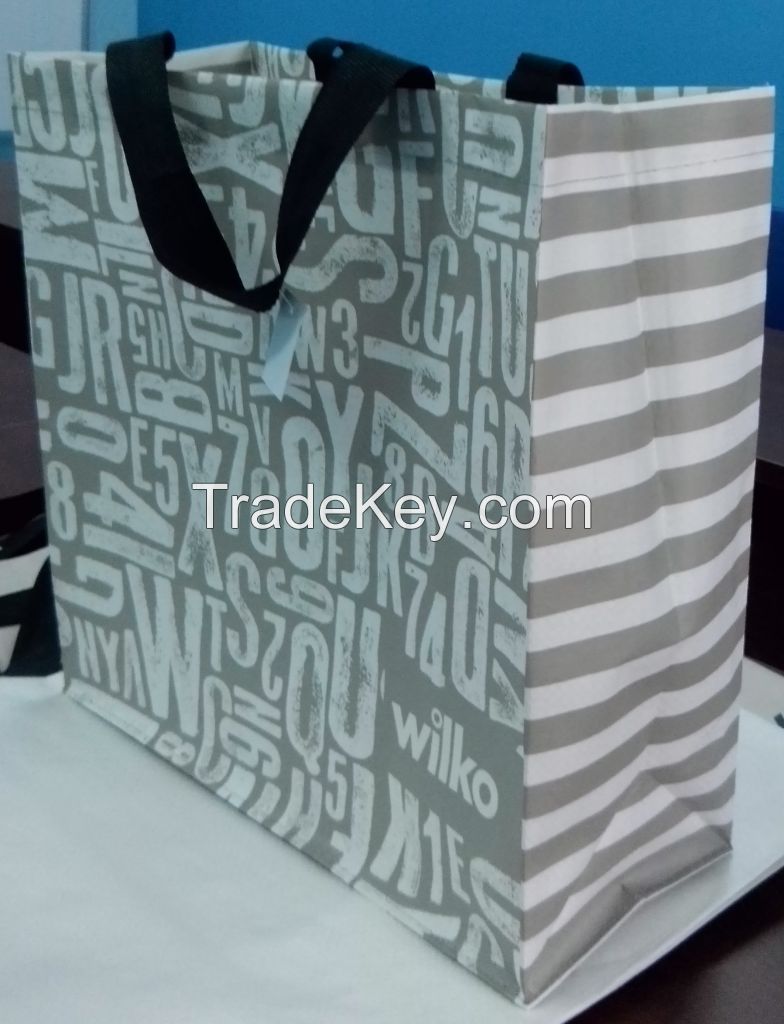 PP Woven Shopping Bag