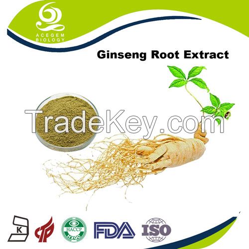 Panax Ginseng Root Extract Powder 7% Ginsenosides HPLC