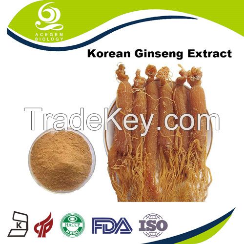 Red Ginseng Extract 7% Ginsenosides