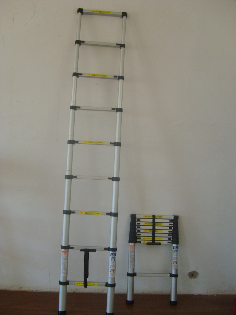 sale  ladder