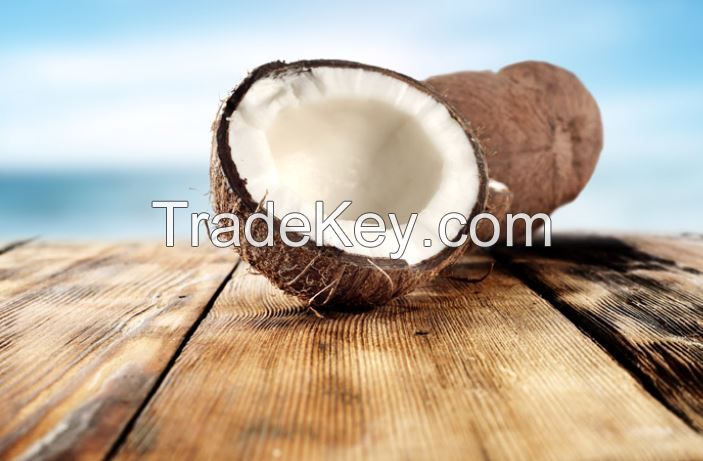 Mature Coconut