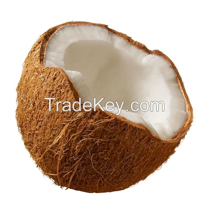 Mature Coconut