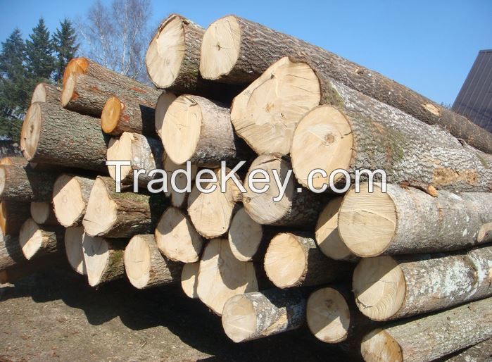 Wood | Timber