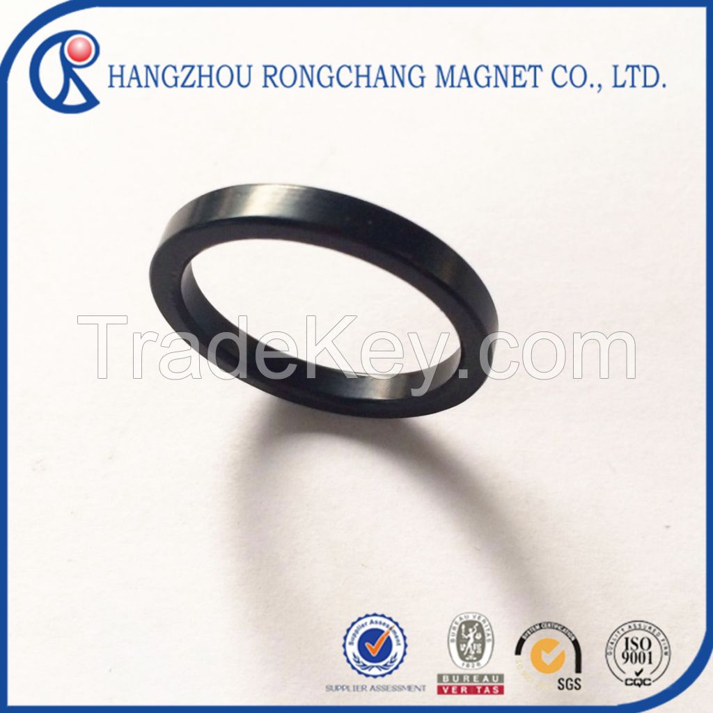 Magnetic material NDFEB big ring magnets with Epoxy coating