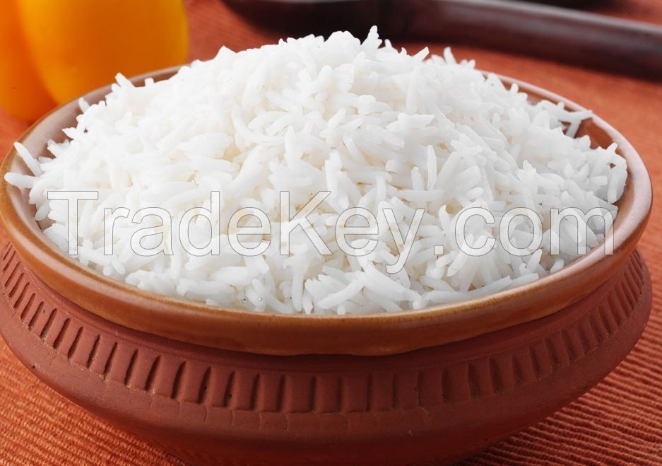 Rice