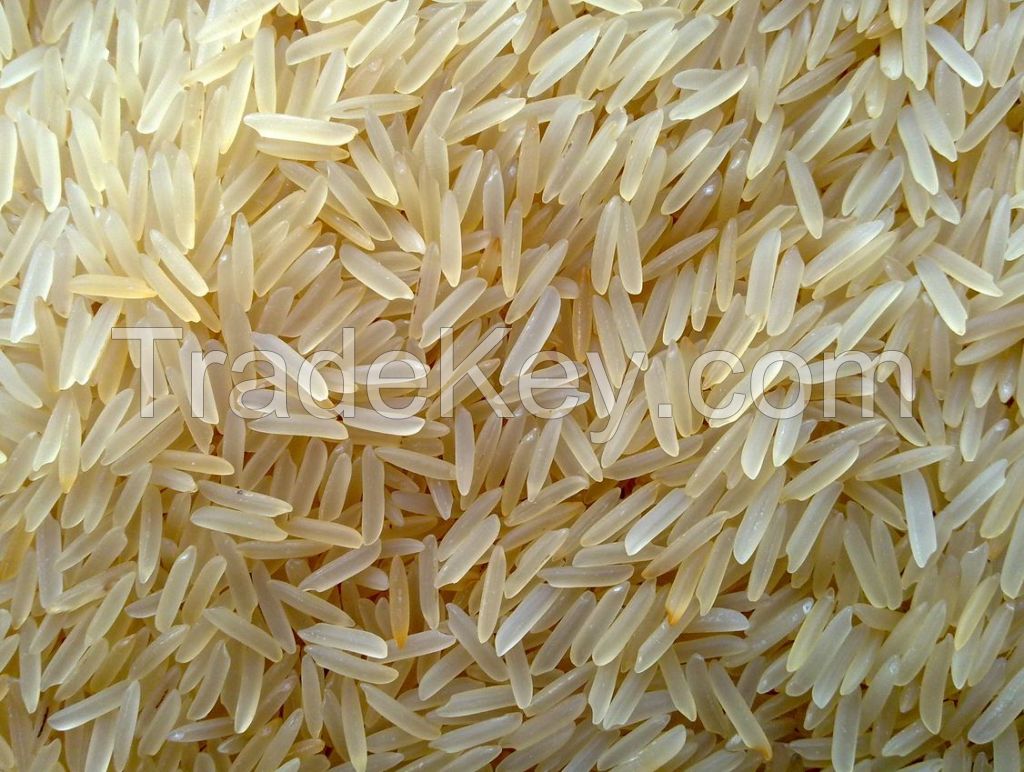 Rice