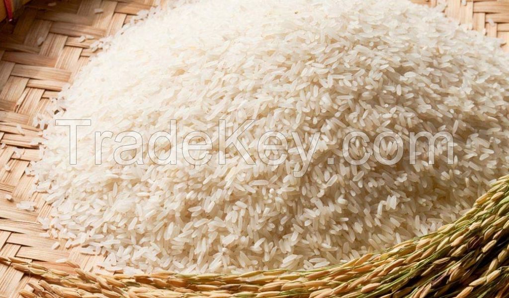 Rice