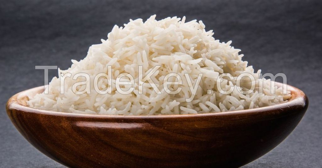 Rice