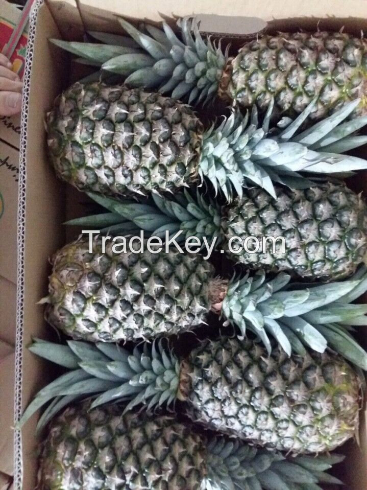 Fresh pineapple