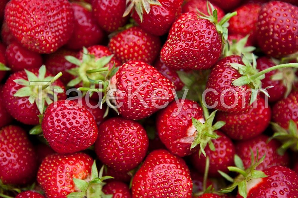 Berries Fresh Berries Fruit Fresh strawberry