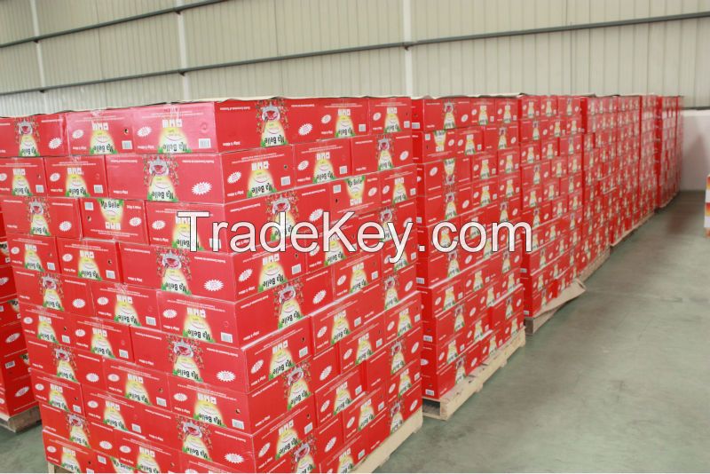 Tomato Seeds  Tomato Paste  Tomato Paste 2200g Tin Tomatoes 200g