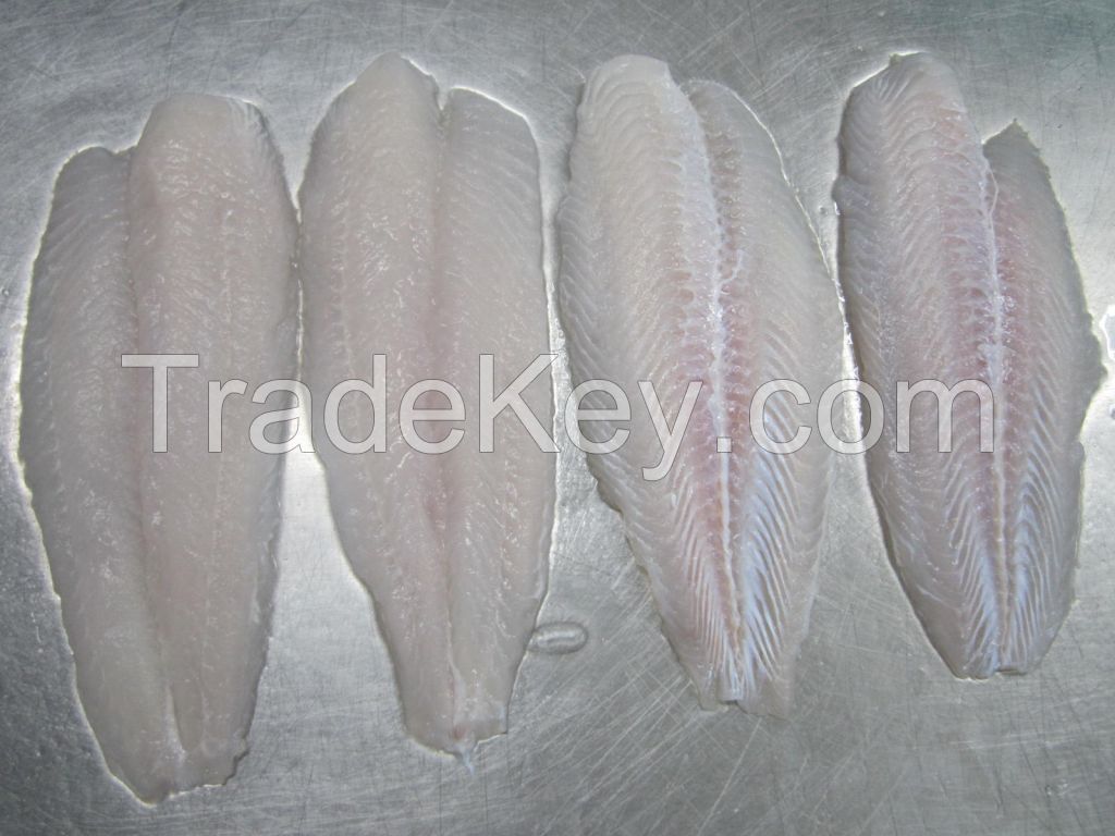 Frozen pangasius