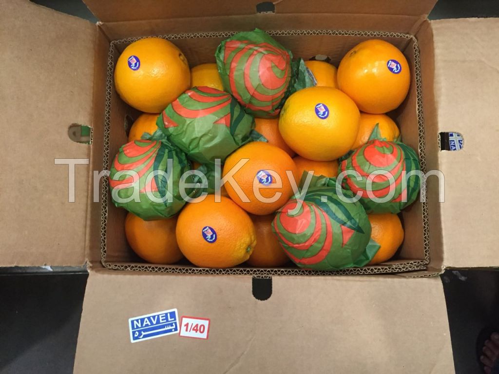 Fresh Oranges