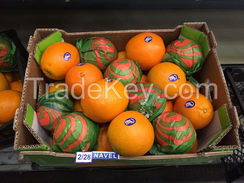 Fresh Oranges