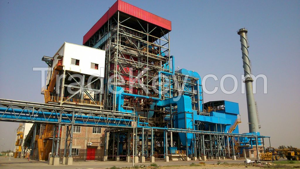 China Biomass power plant