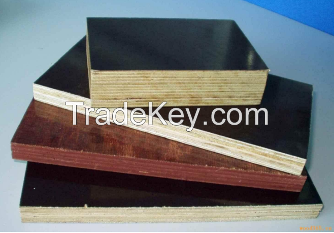 poplar main material 18mm melamine glue film faced plywood