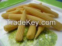 Canned Sweet Corn