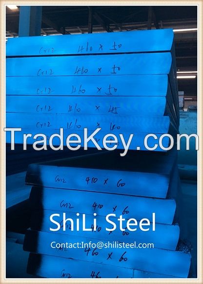 Cold Work Tool Steel AISI D3/DIN 1.2080/GB Cr12/JIS SKD1