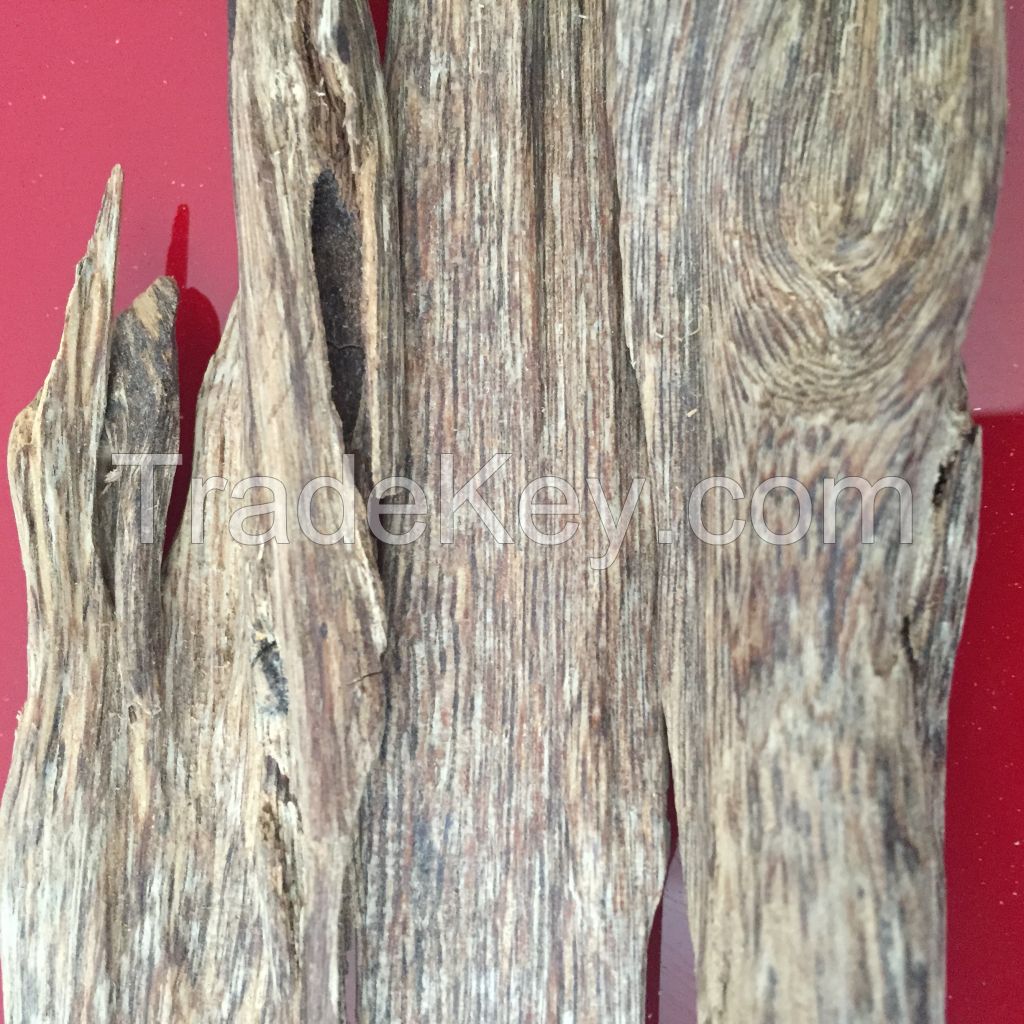 agarwood chip, oud chip incense