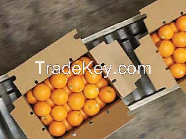 Kinnow Mandarin Oranges from Pakistan