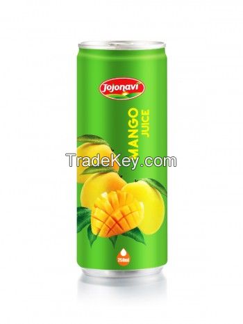 NFC Fruit Juice Apple Juice Drink