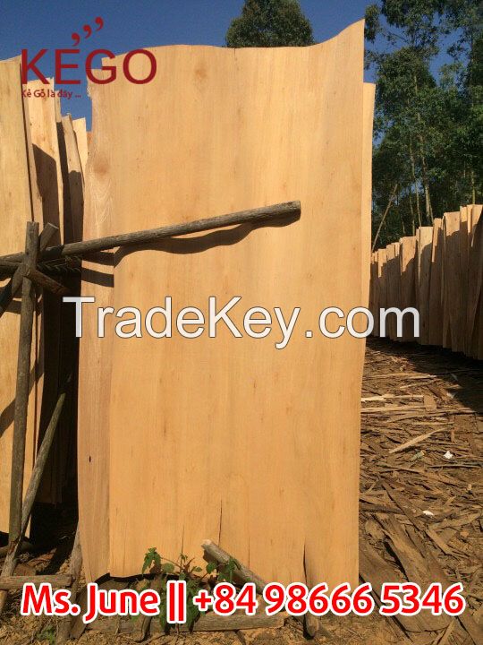 1.7mm Eucalyptus wood veneer,cheap wood core veneer