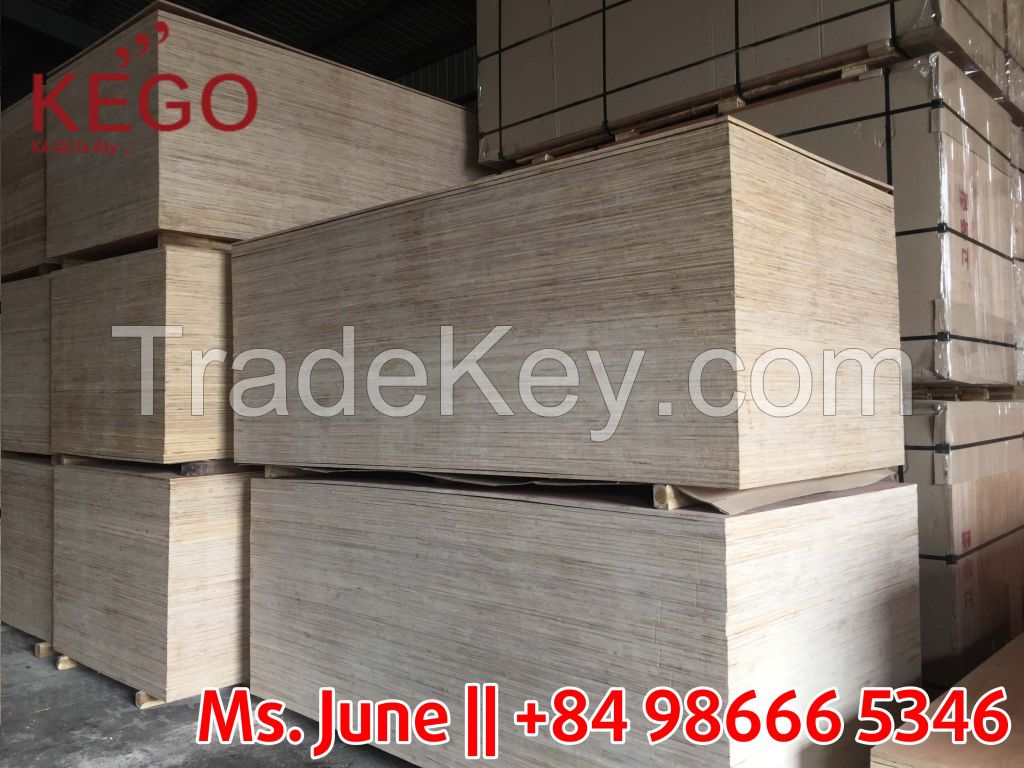 Good quality semi plywood with cheapest price from Vietnam