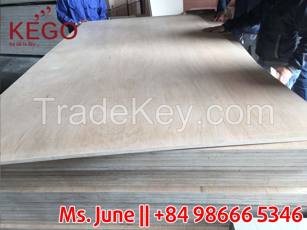 High quality furniture grade eucalyptus core 18mm plywood
