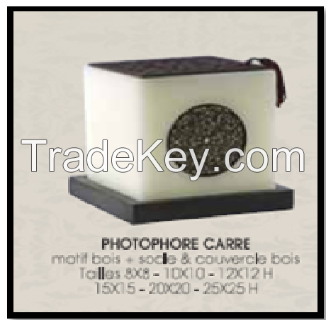 SQUARE PHOTOPHORE 