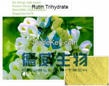 Free Sample nature rutin extract powder