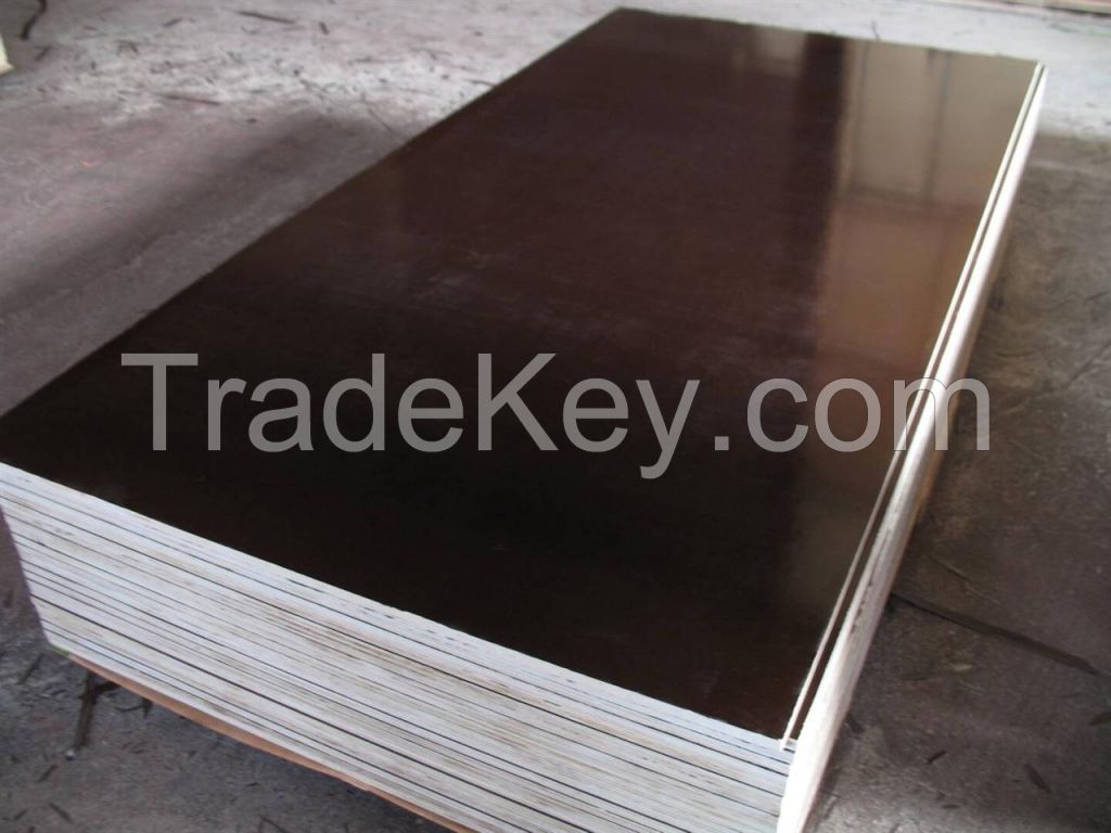 commercial plywood, building plywood, 1220x2440mm