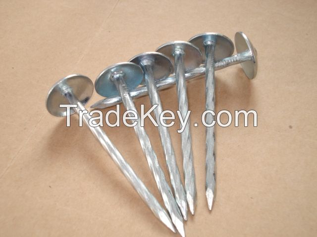 umbrella head roofing nails from manufacture in china