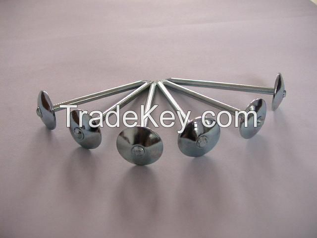 umbrella head roofing nails from manufacture in china