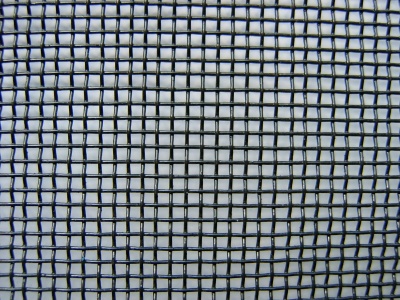 Conveyor belt/Fly Screen/Crimped wire mesh