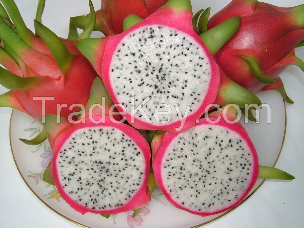 Vietnam Red Flesh Dragon Fruit | Pitaya | Pitahaya