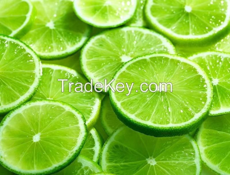 Reasonable Price - High Quality Fresh Seedless Lime